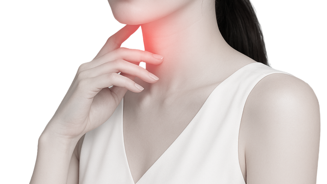 경동맥 초음파 검사 사진