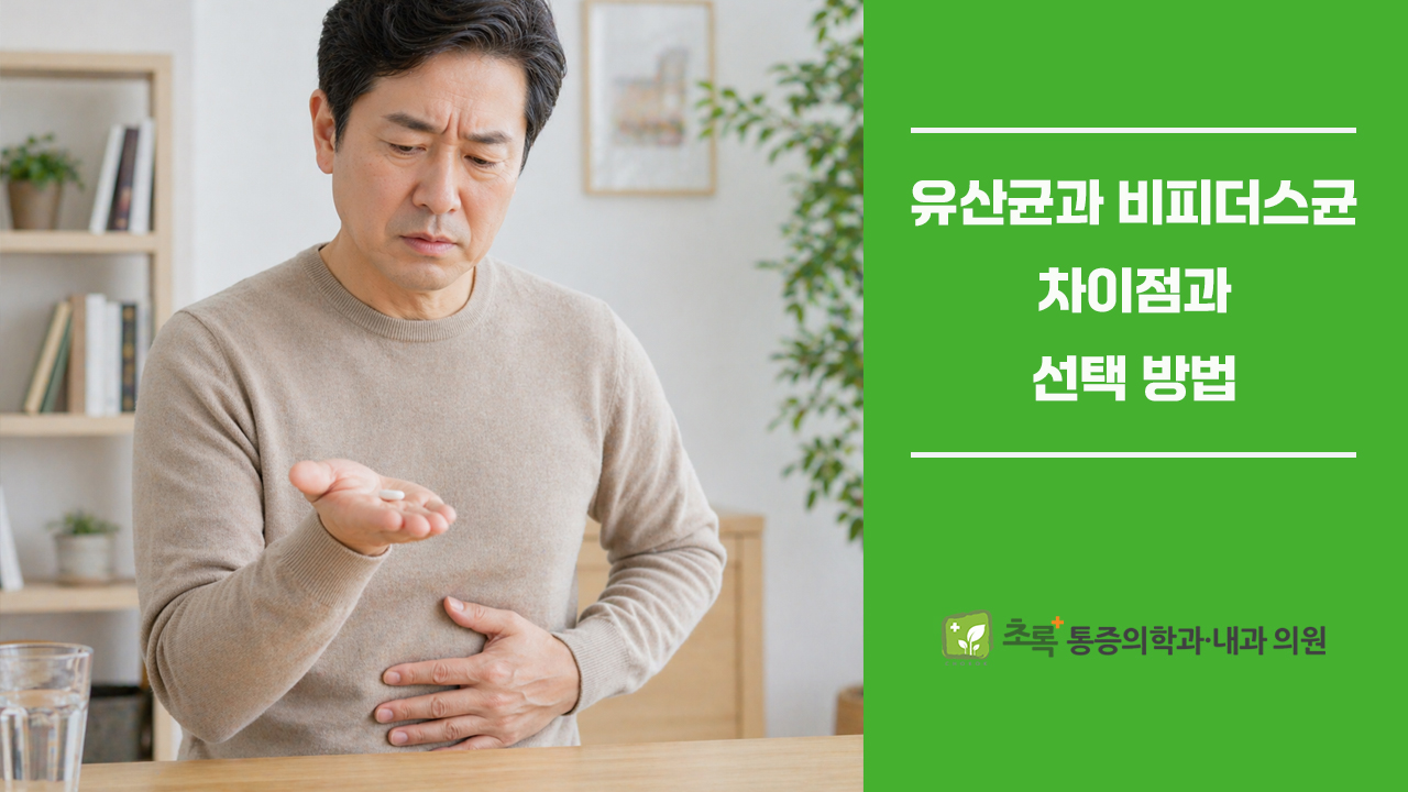 유산균 vs 비피더스균, 차이점과 선택 방법 총정리