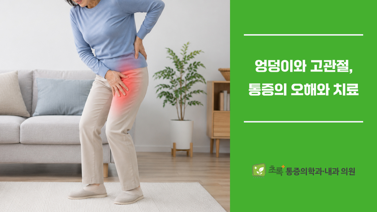 엉덩이와 고관절은 다릅니다, 사타구니 허벅지 고관절 통증의 오해와 치료